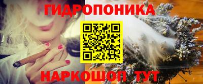 индика Нарткала