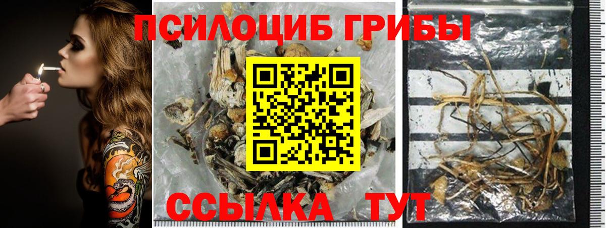 Тихвин  Псилоцибиновые грибы прущие грибы  Галлюциногенные грибы ЛСД  Вход с VPN 